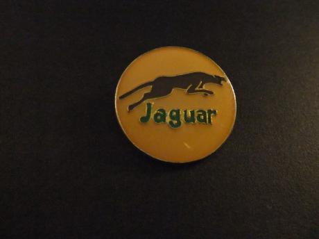 Jaguar sportwagen logo rond model